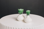 Tazah Vase
