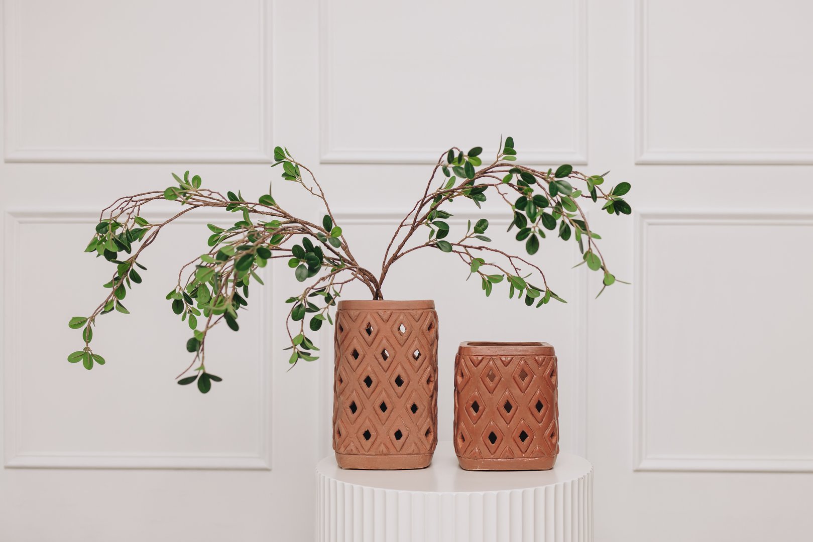 Terracotta Planters